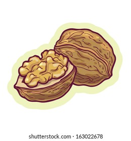 Hand Drawn Walnut Cartoon Vector.