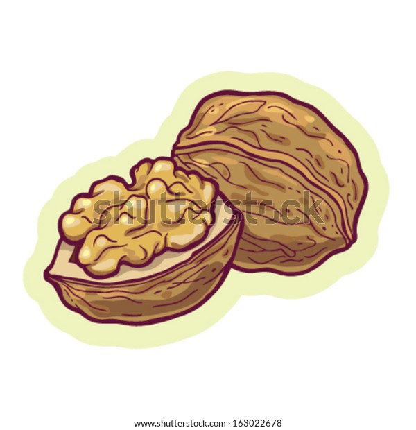 Hand Drawn Walnut Cartoon Vector Stock Vector (Royalty Free) 163022678