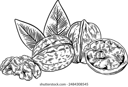 Ilustración de boceto de nueces dibujado a mano