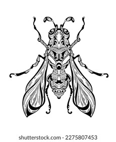 Hand drawn wasp isolated on white. Vector illustration in sketch style