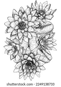 Hand drawn water lily flowers with leaves. Black and white botanical illustration.