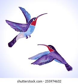 Hand drawn watercolo set hummingbirds 