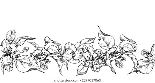 Hand drawn watercolor apple fruits ripe, full and slices, red and green color. Seamless horizontal banner. Isolated on white background. Design for wall art, wedding, print, fabric, cover, card.