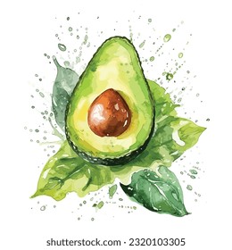 Hand drawn watercolor avocado illustration, isolated on white background, vector, splash
