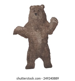 Hand drawn watercolor bear