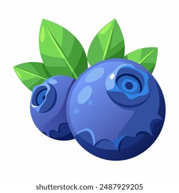 hand drawn watercolor blueberry illustration