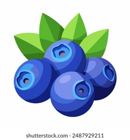 hand drawn watercolor blueberry illustration