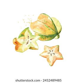 Hand Drawn Watercolor carambola Fruit. Vector illustration.