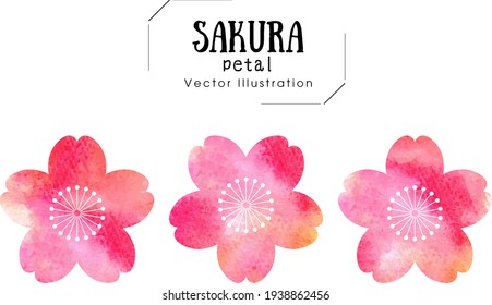 Hand drawn watercolor cherry blossom pattern