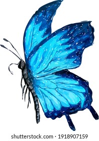 Hand drawn watercolor colorful illustration of butterfly isolated on white background. 