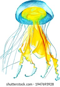 Hand drawn watercolor colorful illustration of blue and yellow jellyfish isolated on white background.