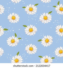 Hand drawn watercolor daisies flower seamless pattern background