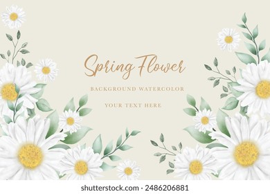 Hand drawn watercolor daisy flower background
