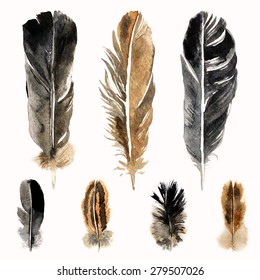  Hand drawn watercolor feathers on white background