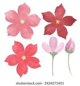 Hand drawn watercolor flower floral element pack