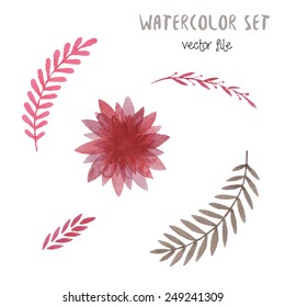 Hand drawn watercolor flowers