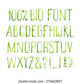 Hand drawn watercolor green natural font.