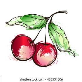 Hand drawn watercolor grunge painting Cherry. Vector illustration of berry on white background