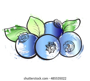 Hand drawn watercolor grunge painting. Vector illustration of fruit on white background