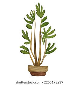 Hand Drawn Watercolor Houseplant Vector Illustration