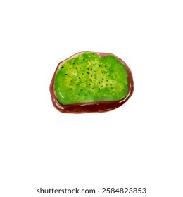 hand drawn watercolor illustration. Avocado Toast on a white background.