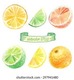 hand drawn watercolor illustration. Citrus set. orange, lime, lemon, grapefruit