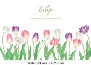 Hand drawn watercolor illustration of colorful tulips