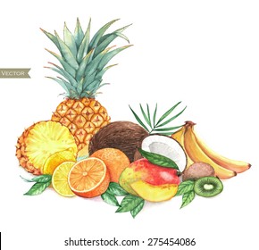 Hand drawn watercolor illustration of different exotic tropical fruits isolated on the white background