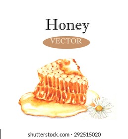 Hand drawn watercolor illustration of the food: sweet honey, isolated on the white background