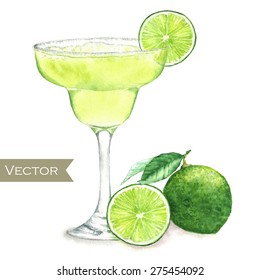 Hand drawn watercolor illustration of fresh Margarita cocktail with green limes isolated on the white background