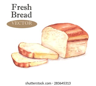 Hand drawn watercolor illustration of fresh tasty sliced bread. Isolated on the white background, vector 