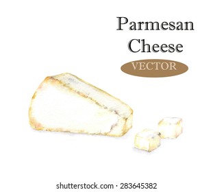 Hand drawn watercolor illustration of fresh Parmesan cheese. Isolated on the white background, vector 