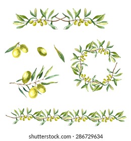 Hand drawn watercolor illustration with olives. Set of the elements: olives, olive branch and wreath on the white background.
