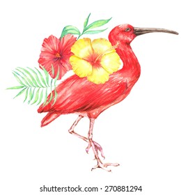 Hand drawn watercolor illustration of red colorful ibis bird with flowers isolated on the white background