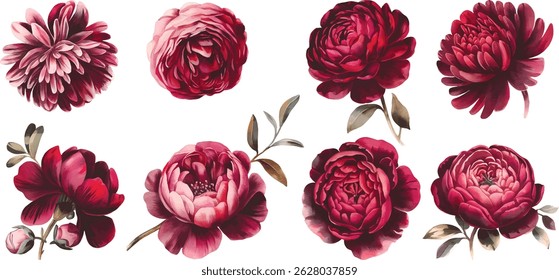 Hand drawn watercolor illustration, Set of watercolor maroon flowers. Collection of watercolor autumn flowers.