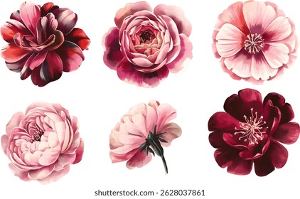 Hand drawn watercolor illustration, Set of watercolor maroon flowers. Collection of watercolor autumn flowers.