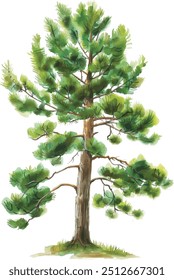 Hand drawn watercolor illustration trees isolated on white