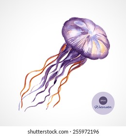  Hand drawn watercolor jellyfish  