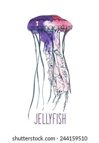 Hand drawn watercolor jellyfish. Vector illustration. Sea collection.