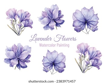 Hand drawn Watercolor lavender flowers Close up. Isolated eco natural herbs illustration on white background, vector illustration