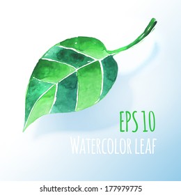 Hand drawn watercolor leaf.