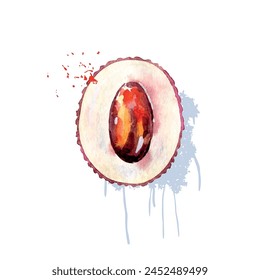 Hand Drawn Watercolor lychee Fruit. Vector illustration.