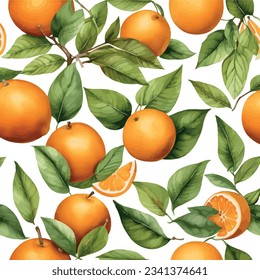 Pintura de naranjas acuáticas dibujadas a mano sobre fondo blanco. Ilustración vectorial de frutas. Patrón de fruta acuarela.