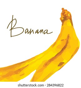 Hand drawn watercolor painting banana. Vector illustration
