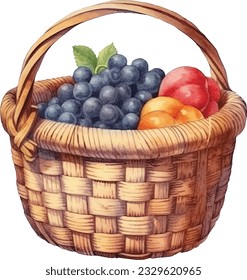 Hand drawn watercolor painting berry bucket on white background. Berry bucket Vector