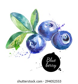 Hand drawn watercolor painting blueberry on white background. Vector illustration of berries