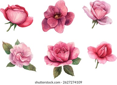 Hand drawn watercolor painting of bouquet of red roses