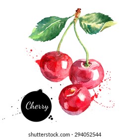 Hand drawn watercolor painting cherry on white background. Vector illustration of berries