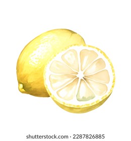 Hand drawn watercolor painting lemon on white background