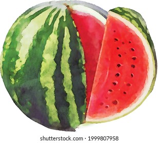 Hand drawn watercolor painting on transparent background. Vector illustration of watermelon